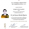 Ampliar imagen: certificate 1