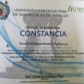 Ampliar imagen: certificate 11