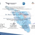 Ampliar imagen: certificate 8