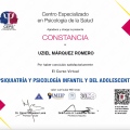 Ampliar imagen: certificate 9