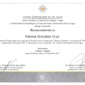 Ampliar imagen: certificate 28