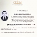 Ampliar imagen: certificate 3