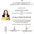 Ampliar imagen: certificate 1