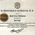 Ampliar imagen: certificate 6