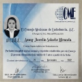 Ampliar imagen: certificate 1