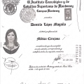 Ampliar imagen: certificate 5