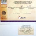 Ampliar imagen: certificate 5