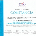 Ampliar imagen: certificate 4