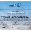 Ampliar imagen: certificate 7