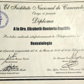 Ampliar imagen: certificate 2