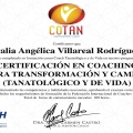 Ampliar imagen: certificate 4
