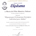 Ampliar imagen: certificate 5