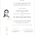 Ampliar imagen: certificate 1