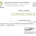 Ampliar imagen: certificate 5