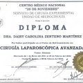 Ampliar imagen: certificate 11