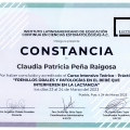 Ampliar imagen: certificate 9