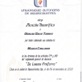 Ampliar imagen: certificate 3
