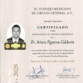 Ampliar imagen: certificate 1