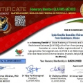 Ampliar imagen: certificate 6