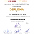 Ampliar imagen: certificate 5