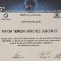 Ampliar imagen: certificate 8