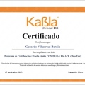 Ampliar imagen: certificate 11