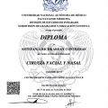 Ampliar imagen: certificate 2