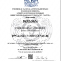 Ampliar imagen: certificate 2