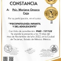 Ampliar imagen: certificate 5
