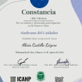 Ampliar imagen: certificate 6