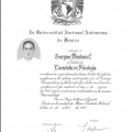 Ampliar imagen: certificate 2
