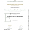 Ampliar imagen: certificate 5