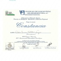 Ampliar imagen: certificate 34