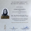 Ampliar imagen: certificate 2
