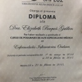 Ampliar imagen: certificate 3