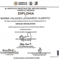 Ampliar imagen: certificate 5