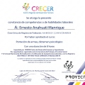 Ampliar imagen: certificate 2