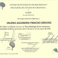 Ampliar imagen: certificate 4