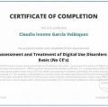 Ampliar imagen: certificate 8