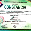 Ampliar imagen: certificate 7