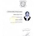 Ampliar imagen: certificate 4