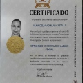 Ampliar imagen: certificate 7