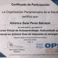 Ampliar imagen: certificate 13