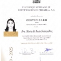 Ampliar imagen: certificate 5