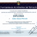 Ampliar imagen: certificate 3