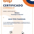 Ampliar imagen: certificate 12