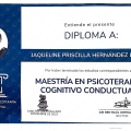 Ampliar imagen: certificate 2