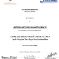 Ampliar imagen: certificate 6