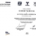 Ampliar imagen: certificate 8