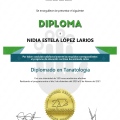 Ampliar imagen: certificate 22